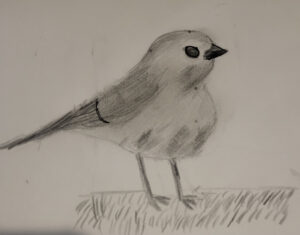 Bird1