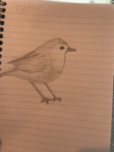 Robin