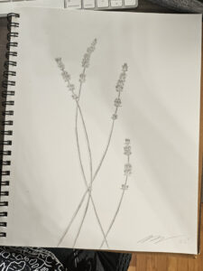 1000028413