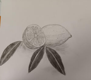 20250810_141326