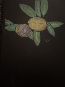 image-2