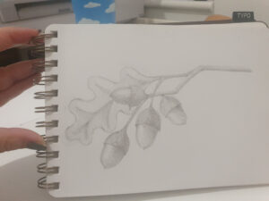 17596840372013012922672568032681