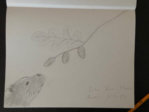 Draw-Your-Stress-Away-10-05-2025