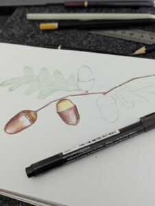 PXL_20251005_170457411.PORTRAIT