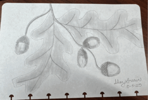 Screenshot-2025-10-05-at-11.50.54-AM