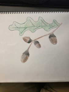 WhatsApp-Image-2025-10-05-at-19.03.17_5e5e467d