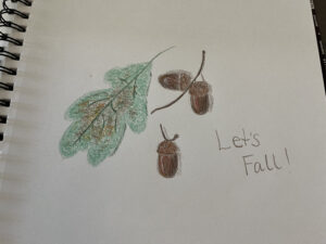 acorn-drawing-10.5.2025