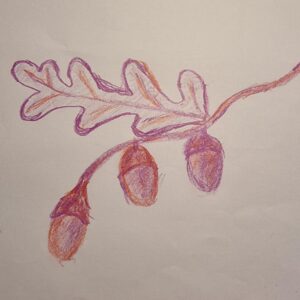 c3e639e6-fa73-49db-85d1-b7859c3f180a