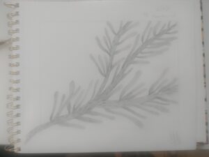 IMG_20251214_100927__01