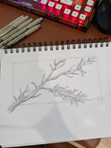 PXL_20251214_180856453