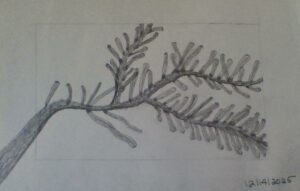 WIN_20251214_13_10_08_Pro