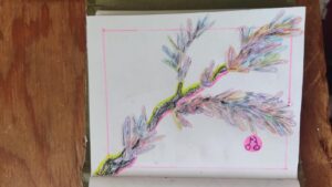 WhatsApp-Image-2025-12-14-at-12.04.05-PM