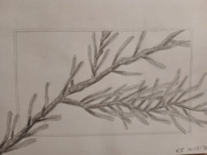 WhatsApp-Image-2025-12-14-at-18.05.34_84c1e349