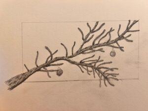 WhatsApp-Image-2025-12-14-at-18.09.13