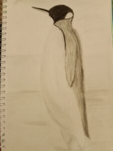 1768759810018317221462699171304