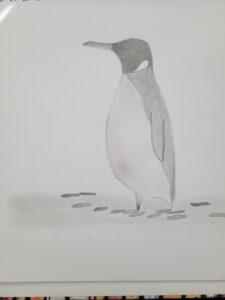 My-penguin