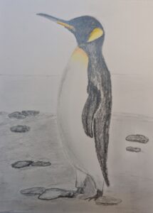 PXL_20260118_180610949_cropped