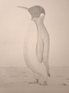 Penguin-20260118_191841
