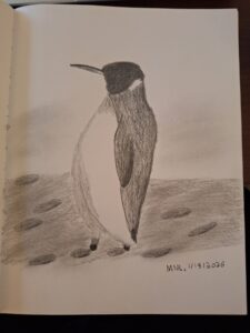 Screenshot-2026-01-18-120808