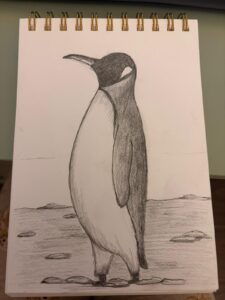 WhatsApp-Image-2026-01-18-at-18.04.58-2