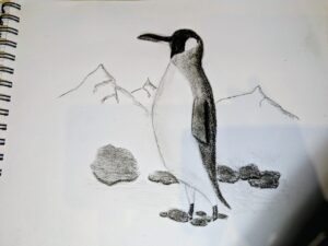 WhatsApp-Image-2026-01-18-at-19.09.45