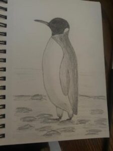 penguin