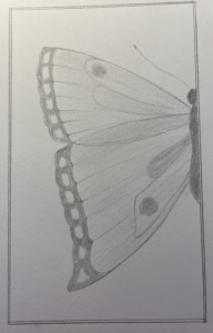 Screenshot-2026-03-15-at-11.06.38-AM