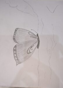 WhatsApp-Image-2026-03-15-at-19.03.14