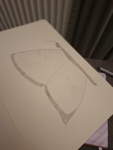 WhatsApp-Image-2026-03-15-at-19.09.10