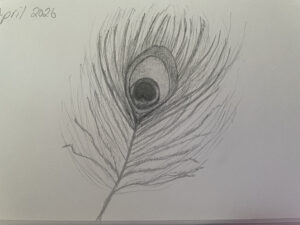 IMG_1141
