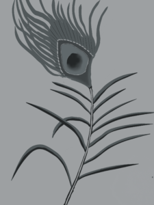 Peacock-feather
