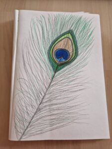 Peacock-feather