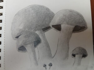 12100
