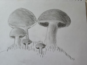 20261004_180412-2