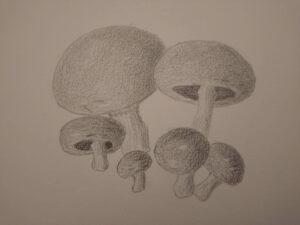 20261004_180616
