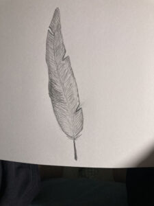 IMG_0392