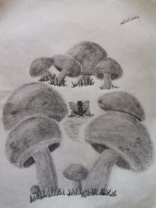 IMG_20261005_171003