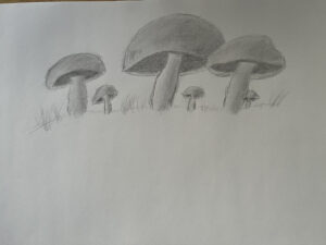 JP-Drawing
