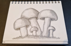 Mushroom-Brushtime-Sketch